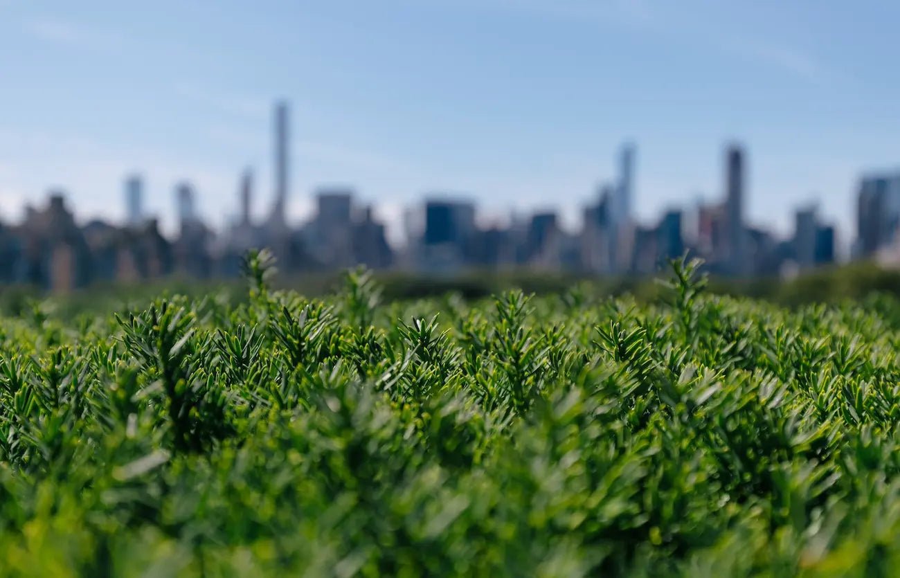Wissen Sie, was Sie atmen? Schlechte Raumluft kann eine Vielzahl von Symptomen verursachen